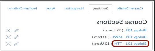 Canvas course section titles